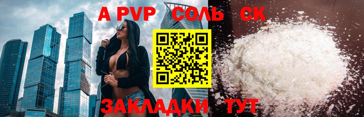 A PVP СК КРИС Курск