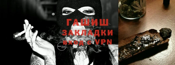 индика Инсар