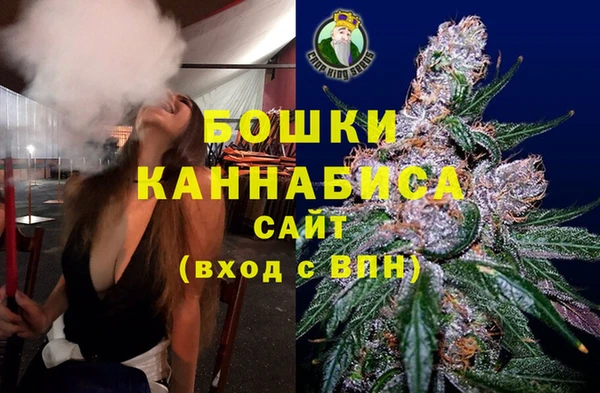 мдпв Инта